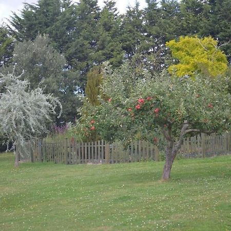 The Willow Studio - Peaceful Retreat Near Whitstable Seaside فيفرشام المظهر الخارجي الصورة