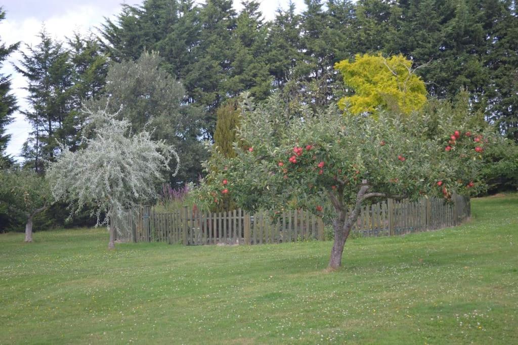 The Willow Studio - Peaceful Retreat Near Whitstable Seaside فيفرشام المظهر الخارجي الصورة