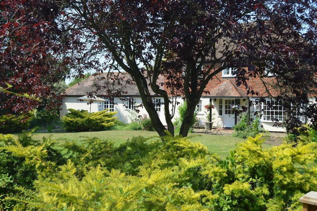 The Willow Studio - Peaceful Retreat Near Whitstable Seaside فيفرشام المظهر الخارجي الصورة